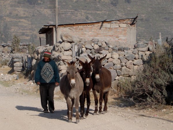 Zastávka ve vesnici Achoma.