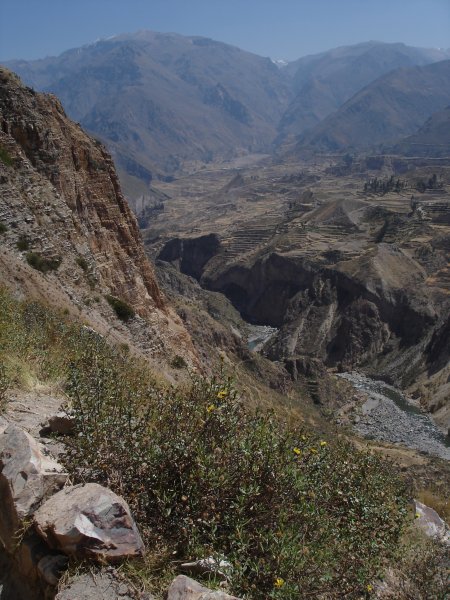 Colca Caňon.