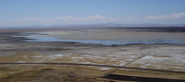 Krajina kolem jezera Titicaca.