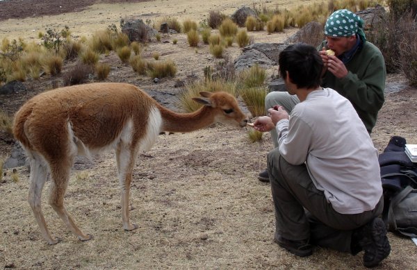 Alfons, Matěj a "Claudia Schiffer".
