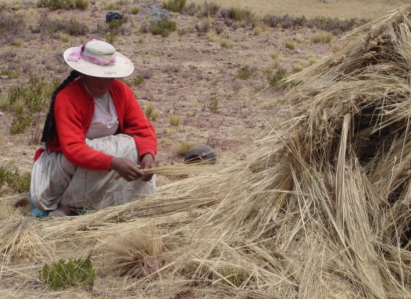 Takhle se vyrábí střecha.