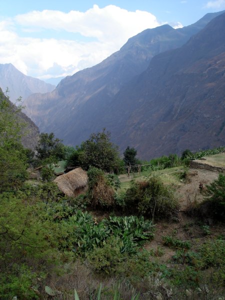 Campamento s banánovníkovou miniplantáží.