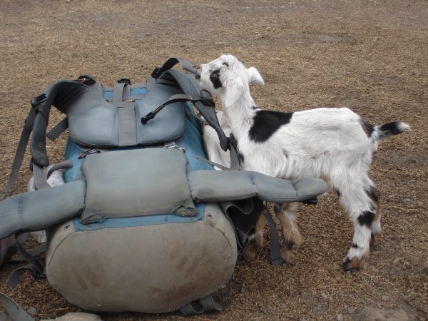 Celní kontrola našich zavazadel.