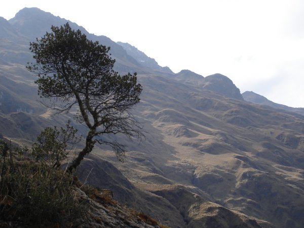 Sametové kopečky při sestupu do vesnice Totora.