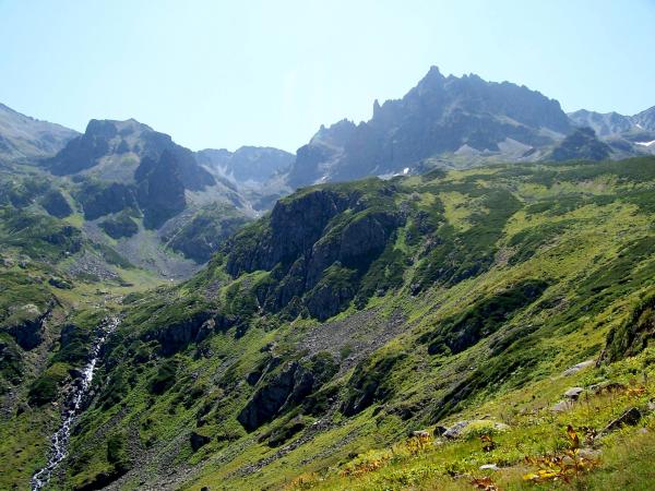 Porosty rhododendronů na severním úbočí Kaçkaru