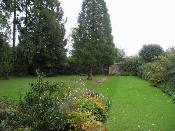 Výhled do zahrady z mého okna/The view from my window