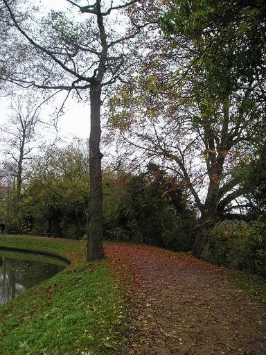 Christ Church Meadows 3