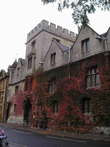 Duhovaný břečťan/Colorful ivy