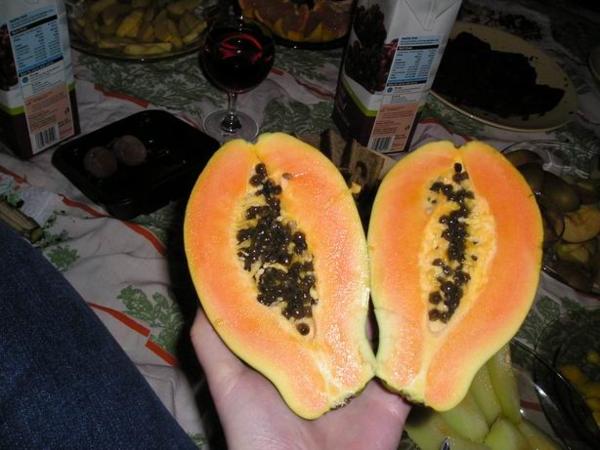 Nikdy před tím jsem nesušenou papáju neměla...ale nestálo to za to, fakt nic moc.