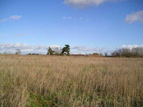 Vím, že tenhle obrázek nevypadá nic moc, ale mně se moc líbí/You might think this is not a very good picture - but I like it all the same