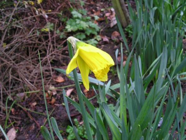 A to je půlka února a v Izraeli sněží/A miracle in the middle of February