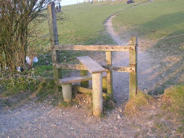 Myslí se i na psy/Dog-friendly