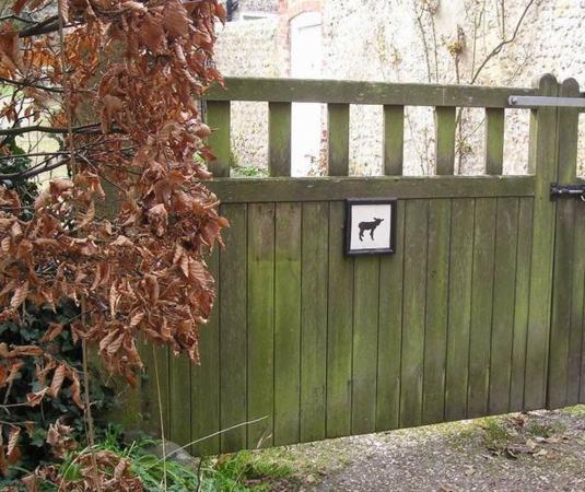 Pozor-zlá ovce/Beware of the sheep