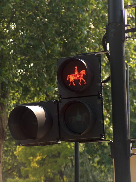 Street lights apply for horses, too...