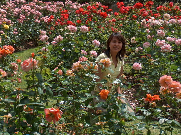 Hiding in flowers...
