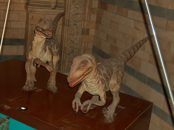 T-Rex section, they don't look so scary