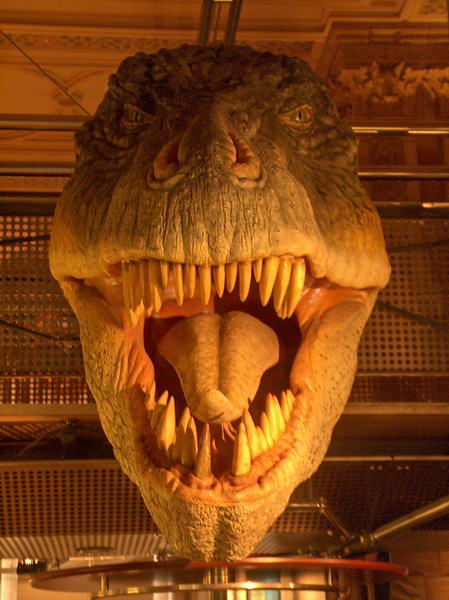 But they become nasty like this - so you don't wanna have one at home...