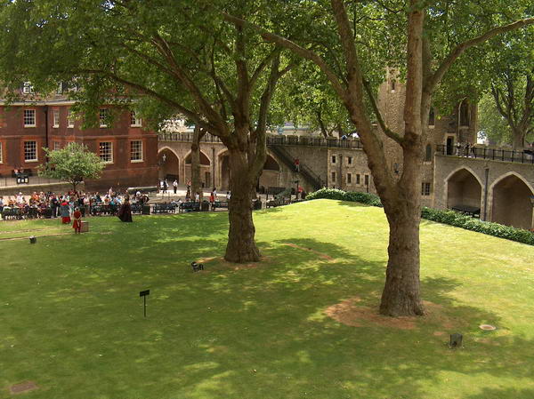 Somewhere there should be the ravens...