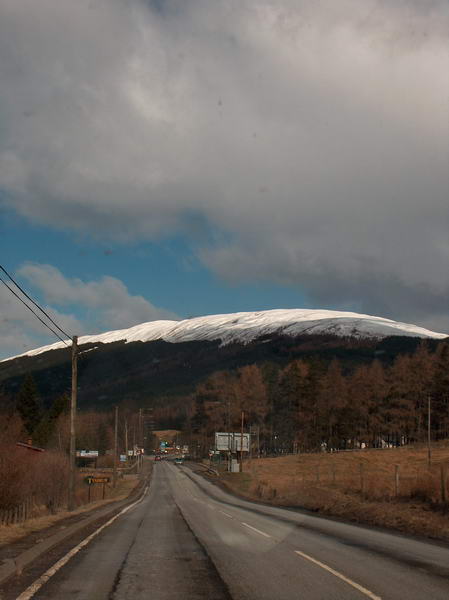 Driving on the left side of the road is not that hard, actually