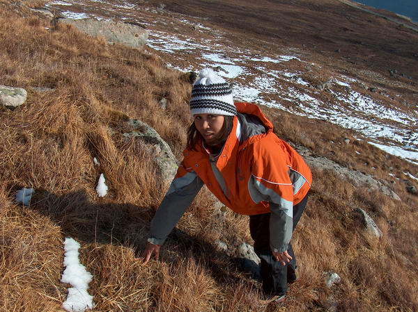 An attempt to climb one of the zillion hills randomly picked by Jirovec