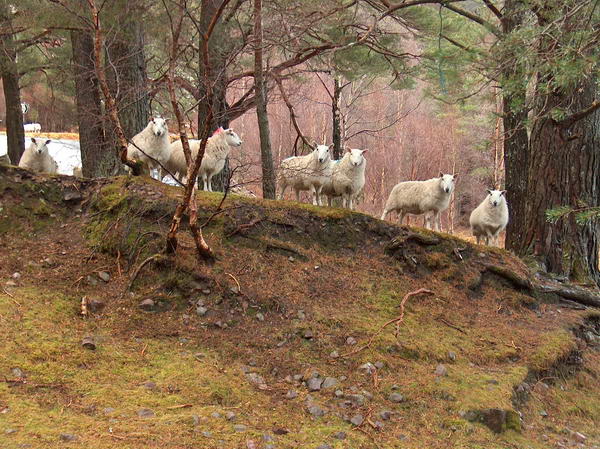 ...ahem, except these...