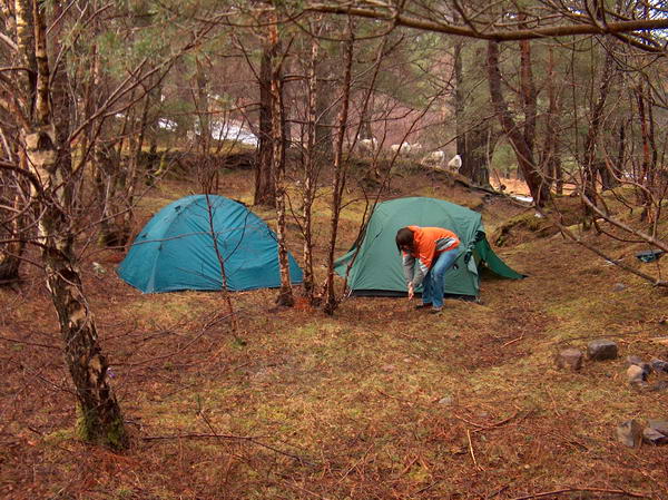We found a nice spot for camping yesterday, hidden among the trees, so nobody could find it...