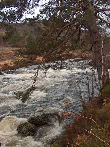 Amazing vistas in the Loch Torridon area. It's early spring, so the water is really wild