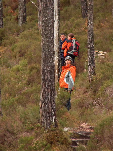 At first we are ascending though a forest, hoping to spot some deers