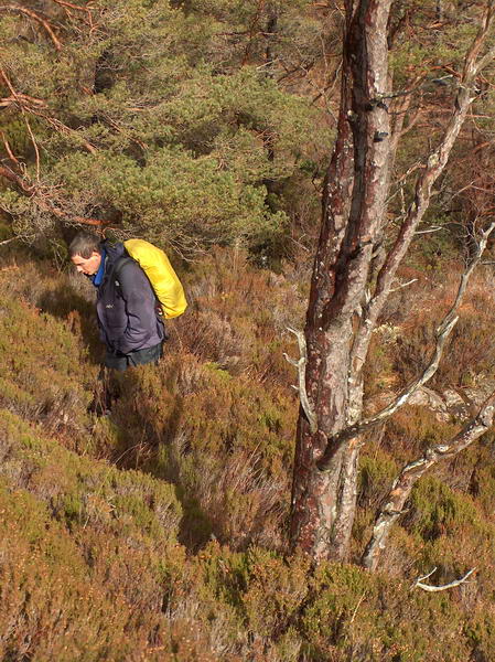 Messenger has to deliver the package whatever it takes