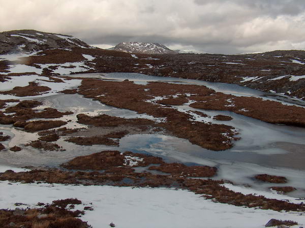 ...Ice on the top, where would you rather be?