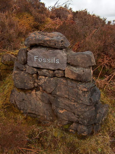 Signposts along the road