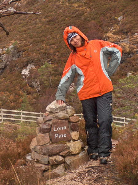 So now it's called Lone Pine...