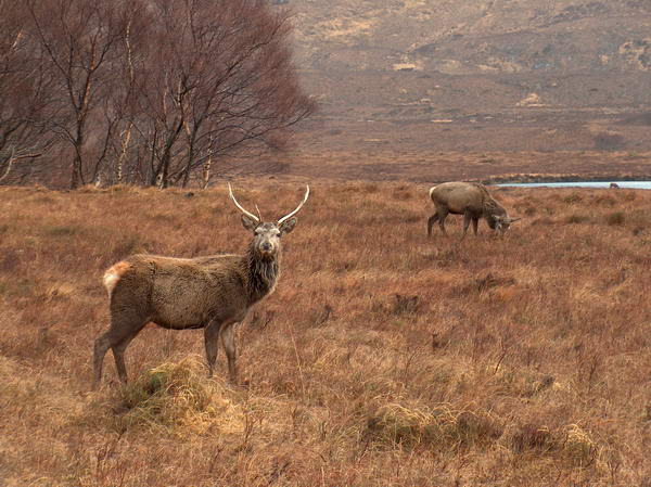 We thought they'd be shy, but they obviously didn't really care about us