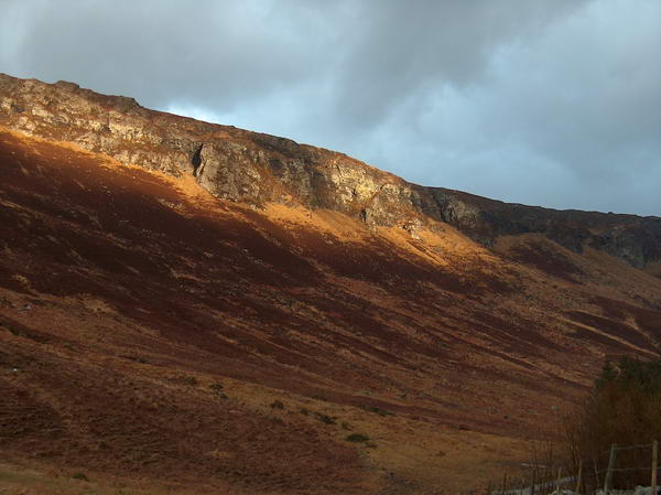 Rare and precious sunny moment