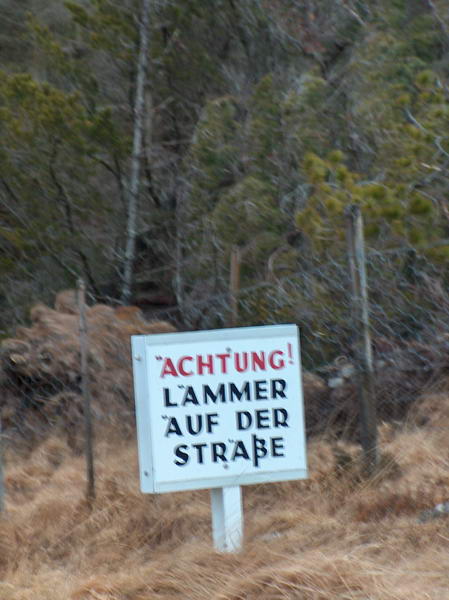 "Sheep on the road" in German. Apparently they really care about them:-) We didn't see it in Czech, though...