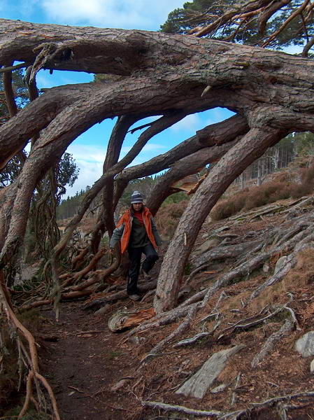 I+O following the trail that J+J walked yesterday