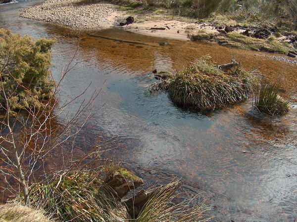 Creek with pure water