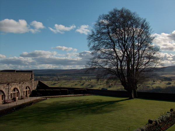 Castle garden, tree casting a long shadow