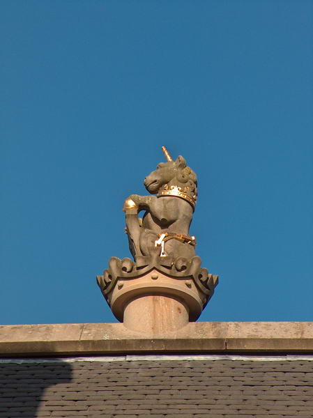Roof decoration