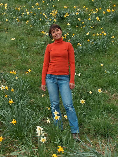 In the Daffodils 1