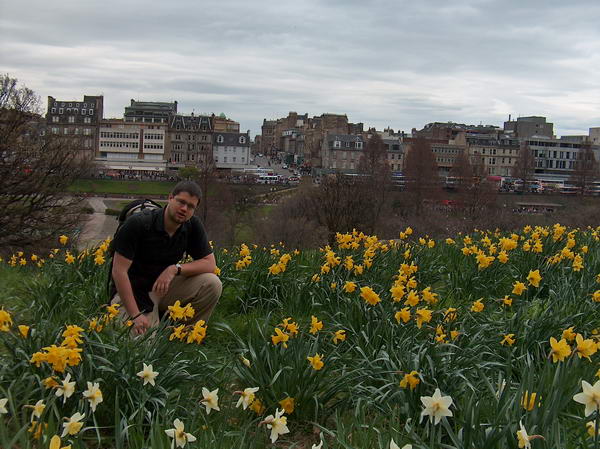 In the Daffodils 2