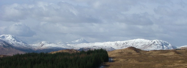 ... with quite a bit of snow on them