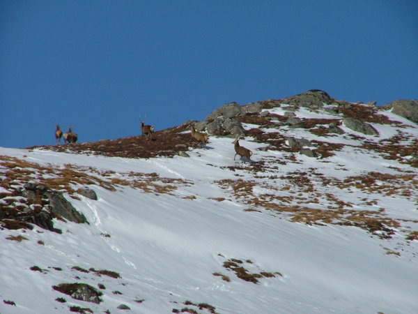 Hang on, we just want to make a picture!