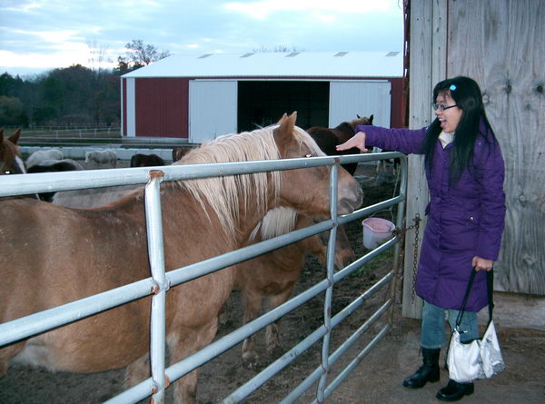 Číňani z nich byli úplně na větvi:-)