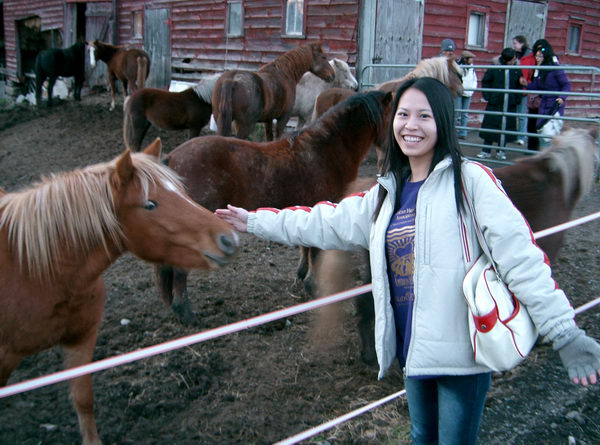 Hromadné fotografování...