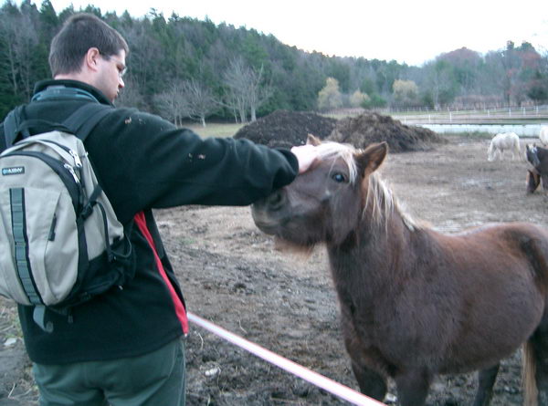 No taky jsem si je pohladil:-)