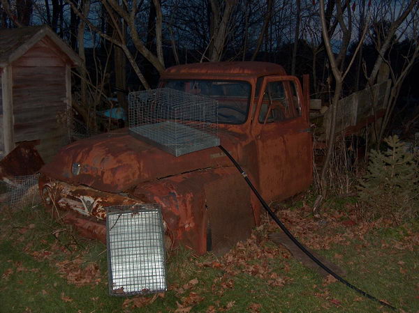 Tak tímhle pojedeme k tomu "táboráku"?