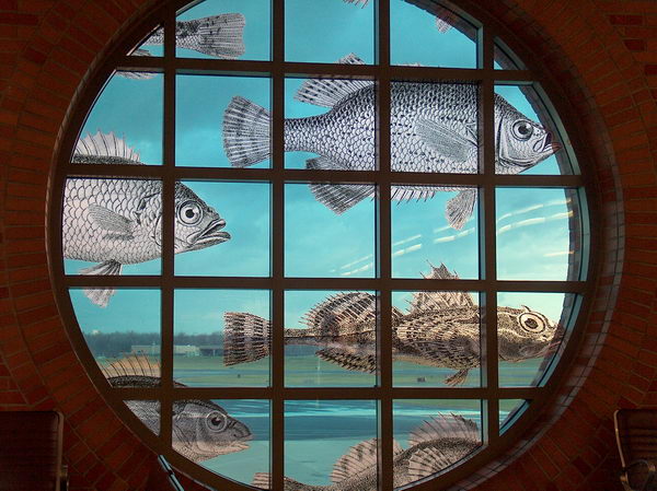 Rybí okno na letišti