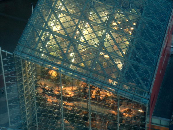 Pohled shora na aquarium