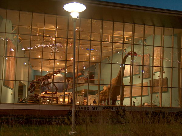 Pohled zvenku na dinosaury